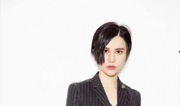 明星黑料最新 明星黑料网,明星黑料网最新爆料揭秘